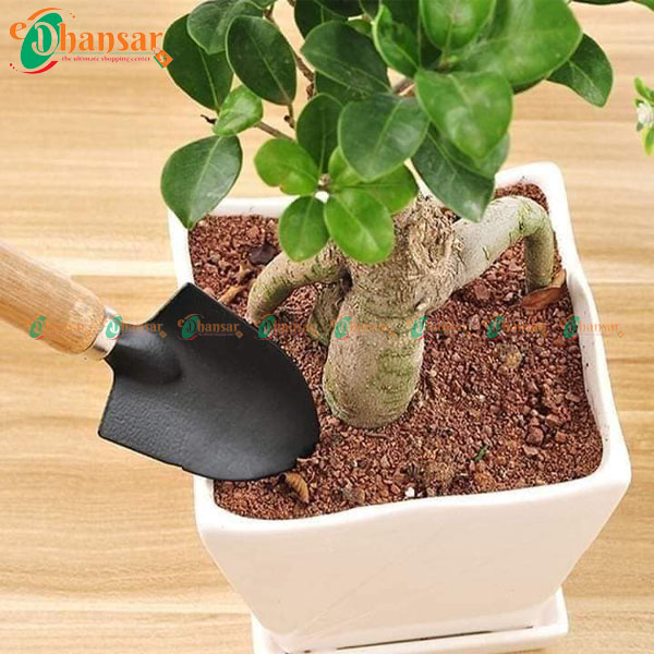 Gardening Tools Set (3 Tools)